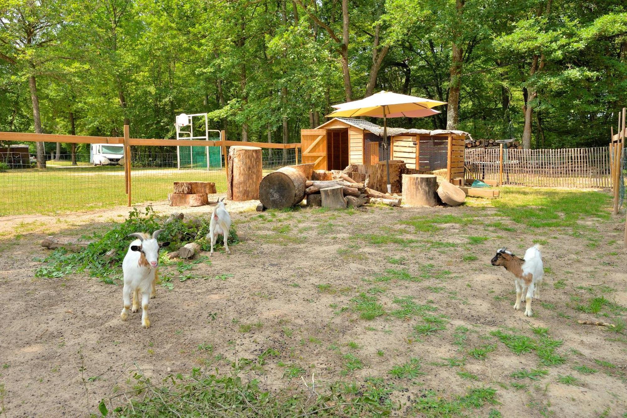 Camping Etang De La Vallee Combreux ภายนอก รูปภาพ